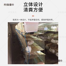 兔笼子家用新型式自动清粪养殖专用子母兔子笼子超大号繁殖麦太保