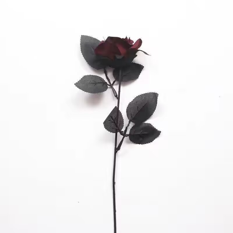 진한 붉은 장미 2송이