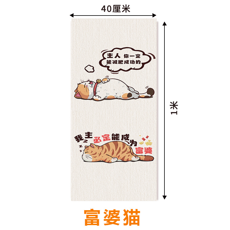 부자 고양이
