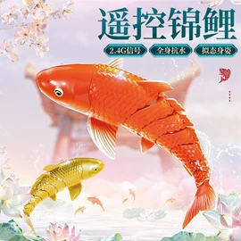 遥控船;电动/遥控机器人;运动休闲玩具