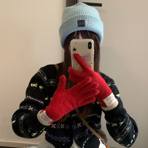 Touchscreen Color-blocked Knitted Gloves for Women - New Fall/Winter Style, Warm and Windproof, Riding and Outdoor Split-Finger Gloves - Trendy