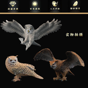 �羳���ķ������ģ�����b������ߵ��{ ؈�^�� ���{��ͯ�J֪�Y��