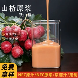 浓缩果汁;果蔬汁