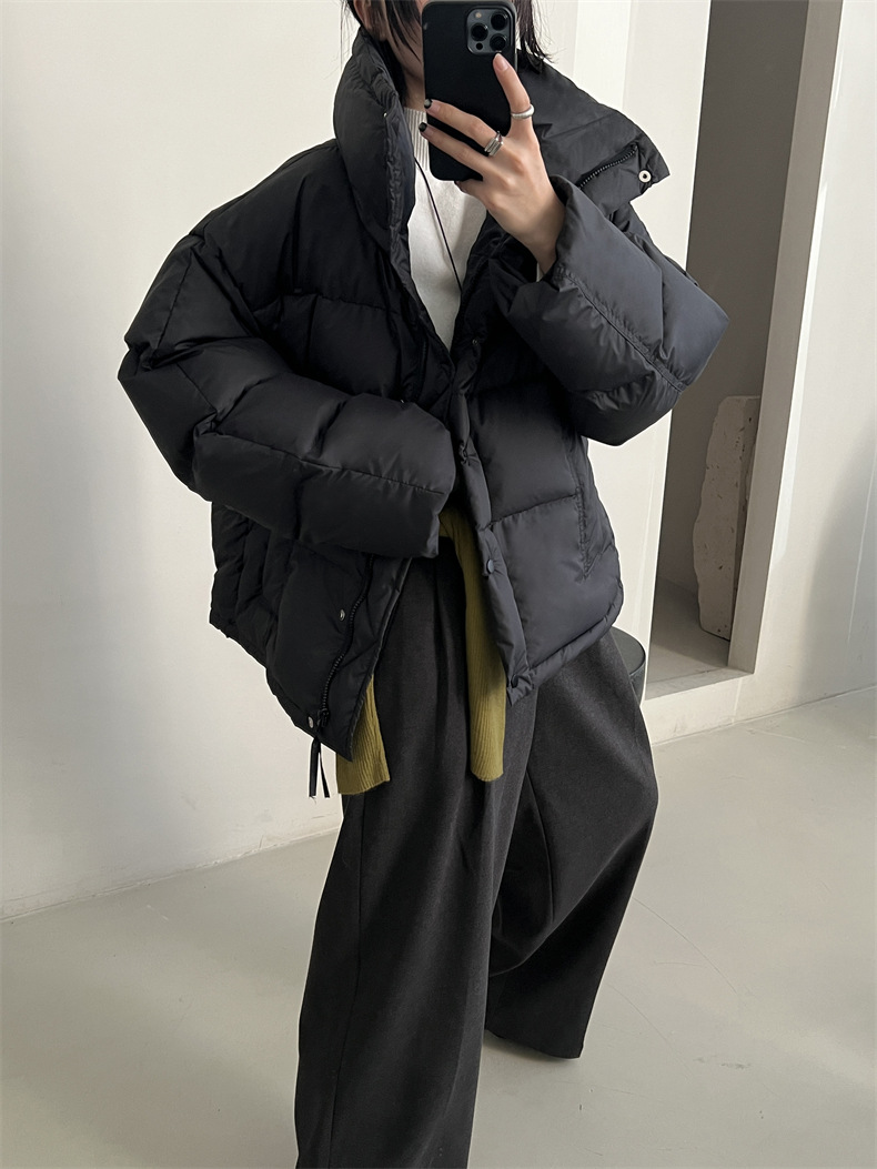 2024-11-26 145517.jpg