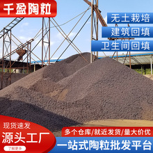 �V�|�����S�����l����̽��B�l���g�|���p�|�@ˇ���ر����w��