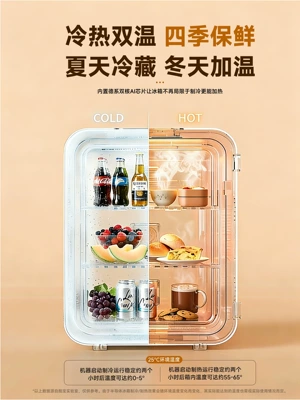 Soyuducular, Student-Sized Freezer