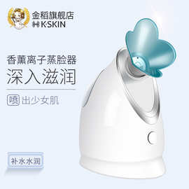 金稻蒸脸器喷雾器补水仪家用蒸面器美容仪器热喷机蒸脸仪KD2330