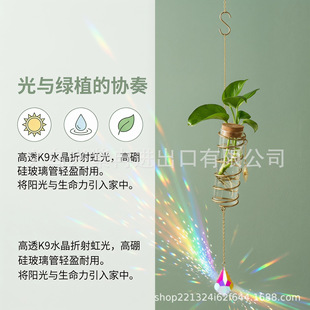 ��Ʒ̫ꖲ����L�ֲ�����B����⻨�@�b�ˮ����������Ϧ�YƷ