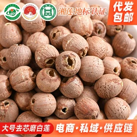 莲子;莲子类;百合