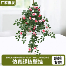 ����Gֲ�ڒ젝���b����G�}�ٻ��ٗl��c�S�������Nޱõ���ٗl