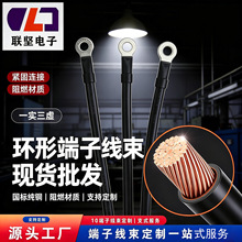 O型圆环端子 镀锡铜材 IP67防护 新能源接地线束定制电池连接器