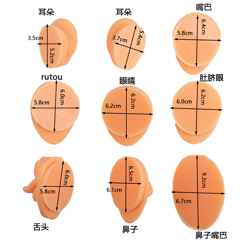 Simulación de cinco rasgos faciales, práctica de puntos de acupuntura del oído perforados, accesorios de enseñanza, clavos de lengua, clavos de nariz, pantalla de ombligo de boca, molde de silicona