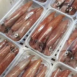 水产干货类;鱼类;鲜活水产