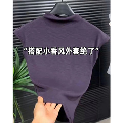 小立领T恤女高级感紫色上衣2025秋季新款紧身小飞袖打底内搭