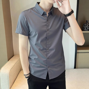 �������z������ʿ�r���ļ������䵭ϵ�߼����r��Ʀ������������ɫ