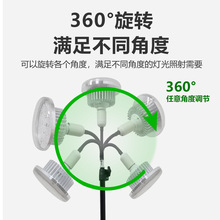 ����ȫ���V�߲˶����a�⻨��ˮ�ݾGֲ������ֲ�����L�a���ˮ�ݟ�