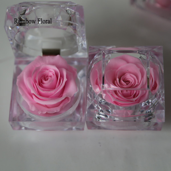 IMG_1152 - 副本 (2)