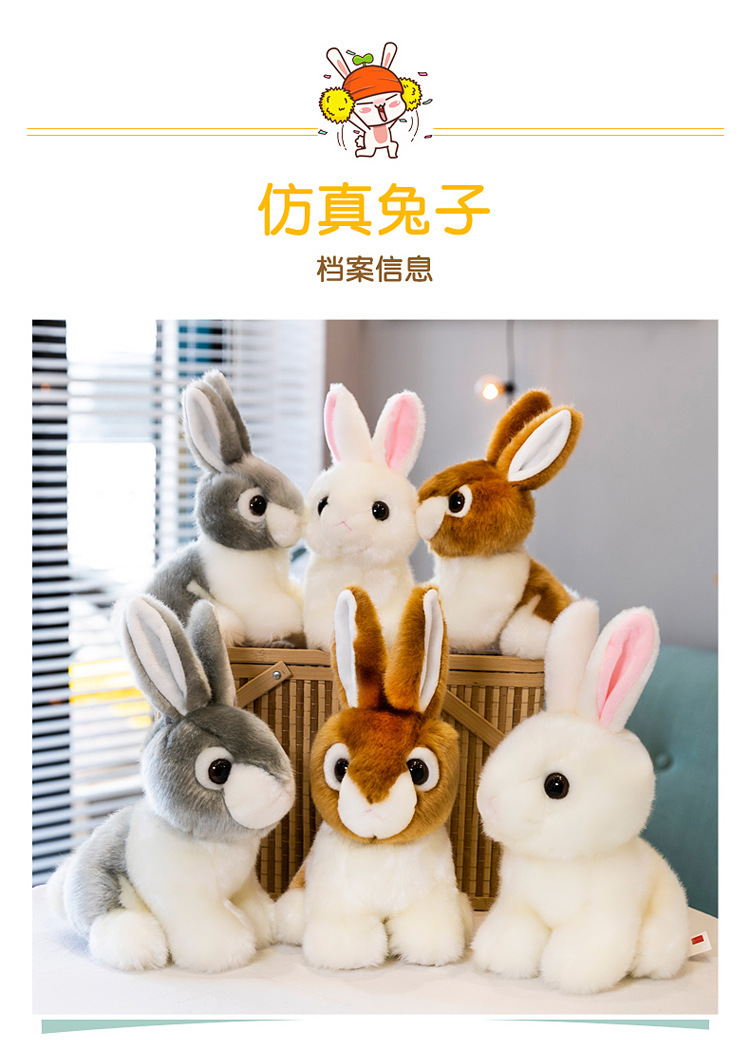仿真兔子_02.jpg