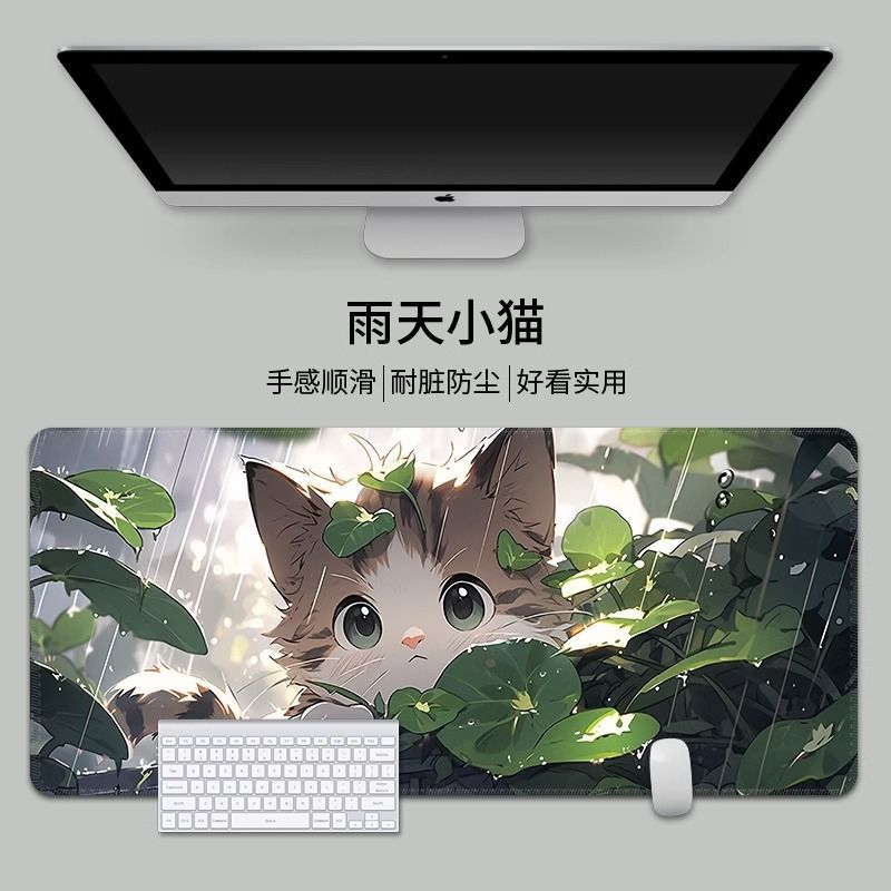 비오는 날 고양이