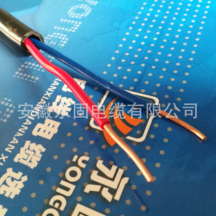 �S��ֱ�N KVV-2*1.0�O�ٰl؛�o���~�z������|