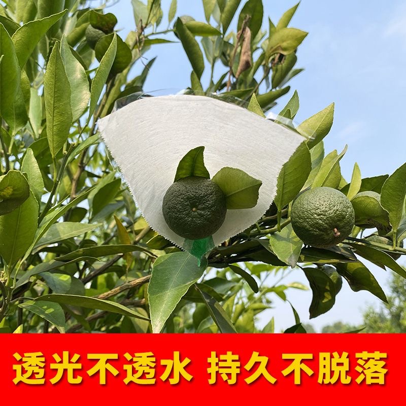 微信图片_20250603155825