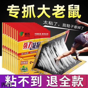 ճ����zճ��������������Nץ������󹤾�����ճ�F؛���l