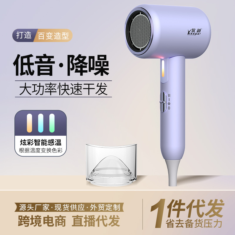 Portable Folding Hair Dryer Home Dormitory Hotel No Injury Constant Temperature Hair Dryer High Power High Speed Hair Dryer