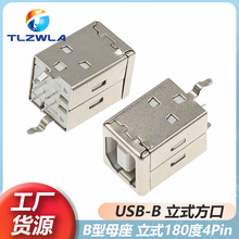 USB-Bĸ ��ʽ ���ڷ��δ�ӡ�Cĸ�� BF-180�� ֱ����D�� USB�ӿ�