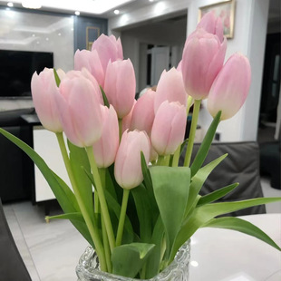 ˮ���������N���M�ں��m����������N�����ԾGֲ�҃�ֲ���_��