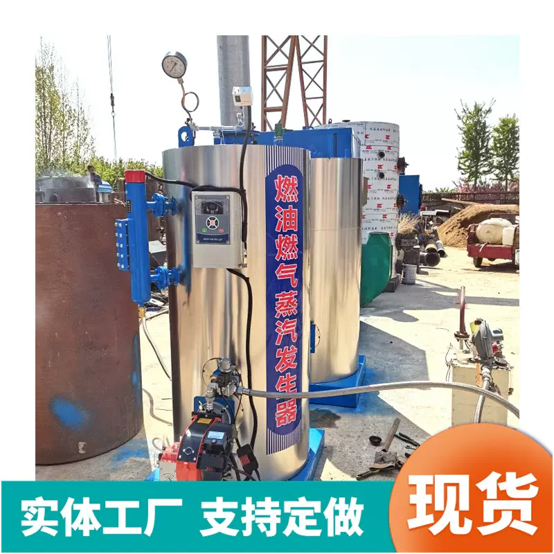 室内取暖用立式燃油燃气蒸汽发生器小型热水两用锅炉即热式