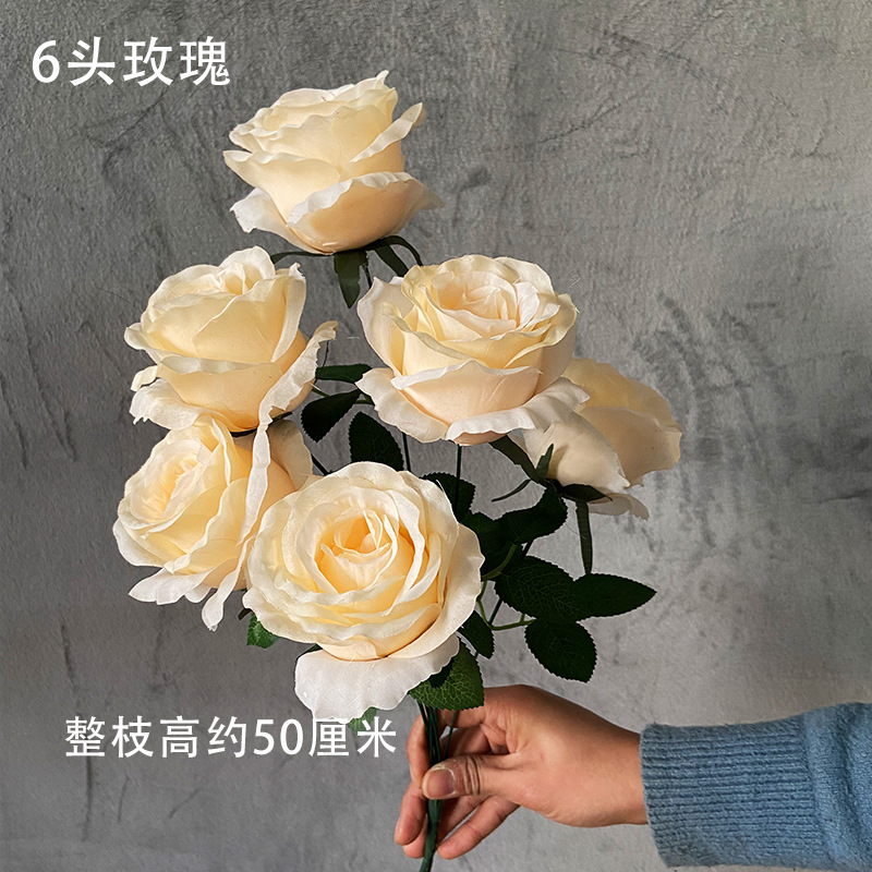 6 머리 안나 샴페인 장미 꽃다발