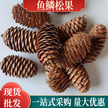 现货鱼鳞松果圣诞装饰diy松塔天然干花干果长松果鳞片松桌面摆件