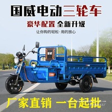 國威品牌新款大功率貨車成人農用電動三輪車家用接孩子拉貨擺攤