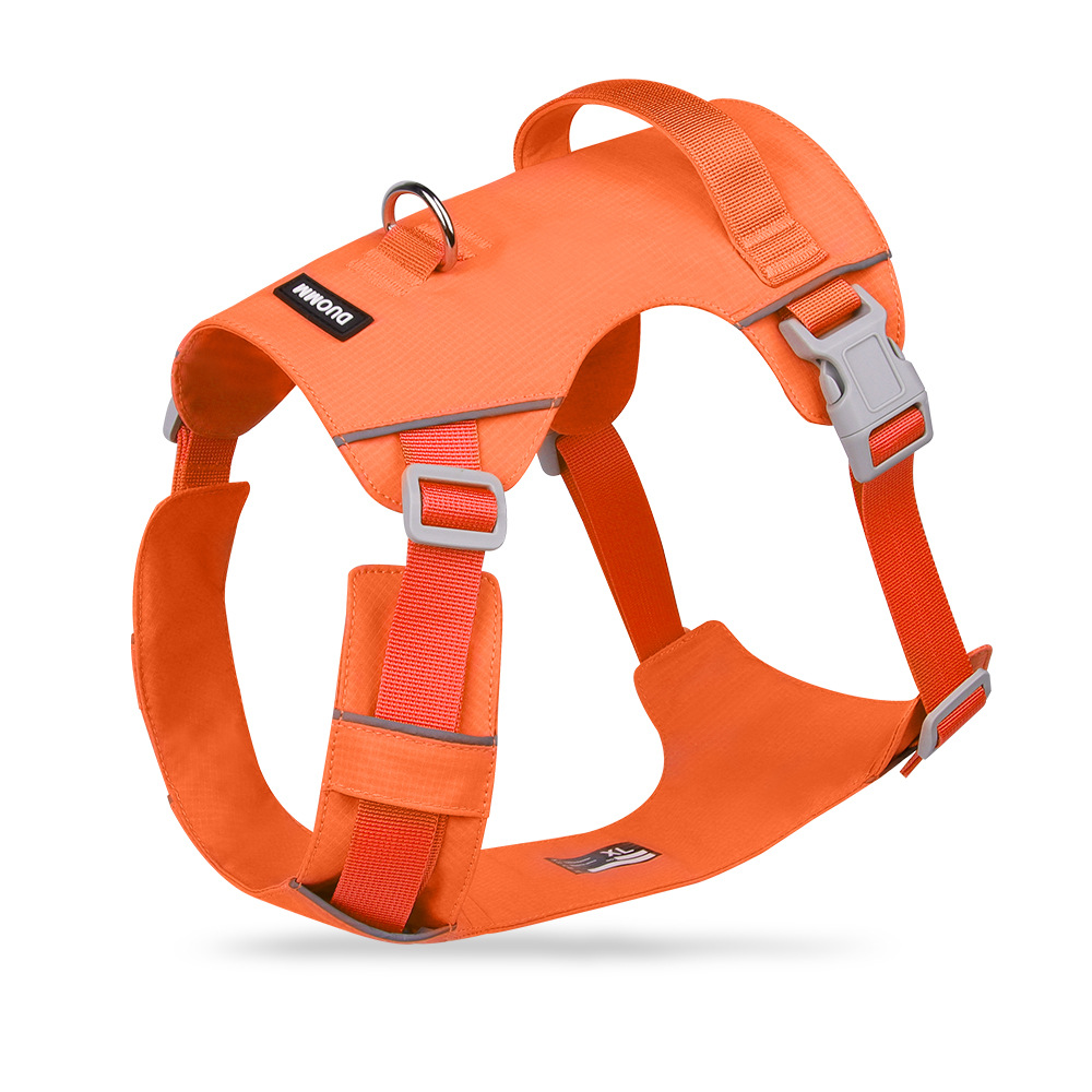 Resistente al agua seca rápida naranja activa