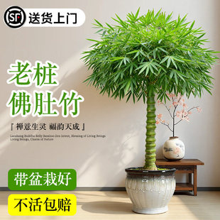 ����������Ϙ��辰�_�h���҃ȾGֲ�︻�F���Ĳ���С�~�{����T��