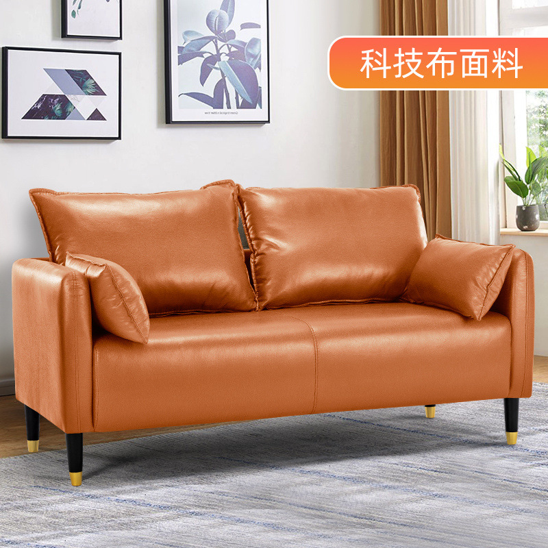 Sofá de piel de gato pequeño tipo sala de estar doble triple alquiler apartamento simple tienda de ropa en línea popularidad pequeña
