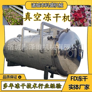 定制水果蔬菜真空冷冻干燥机 柠檬片真空冻干设备 小金桔冻干机