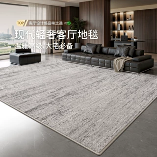 地毯客厅意式极简新款防水防污轻奢高级感家用地毯大面积全铺地垫