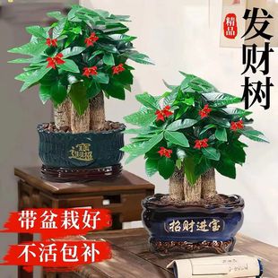 ���U�lؔ����������Gֲ�[���҃ȿ͏d��լֲ���·�����ȩ��ؔ����