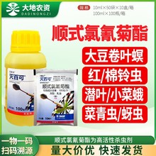 ��˹���ٿ� 10%�ʽ������������x���~������x���x���x���rș