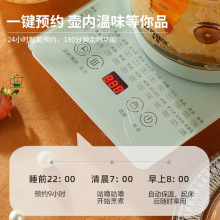 半球多功能养生壶烧水壶1.8L1个多规格