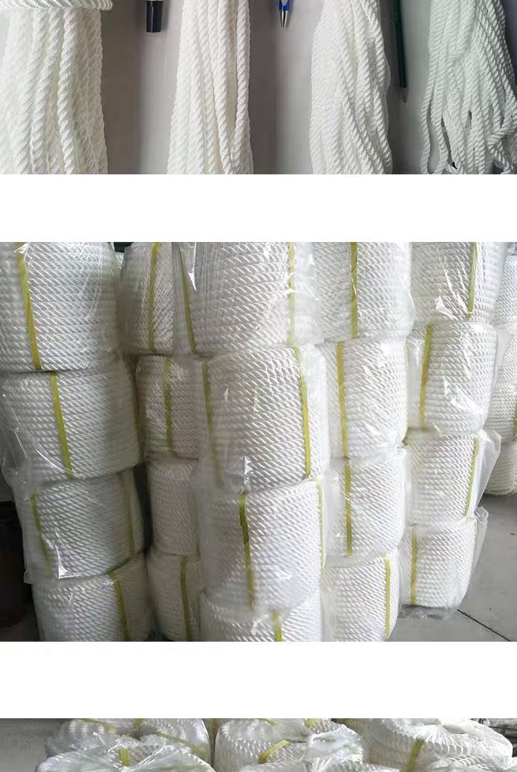 微信图片_20241015130654