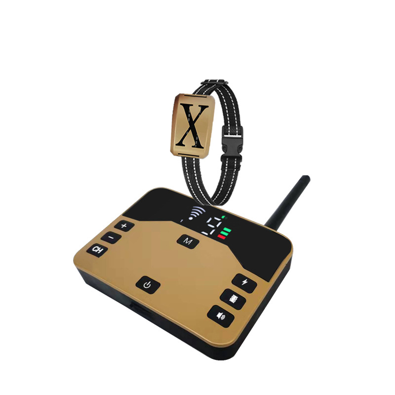 하나는 금으로 하나는