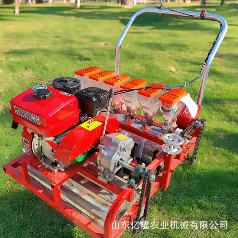 电动蔬菜药材播种机 沙参黄芩柴胡防风育苗机 包菜辣椒谷子点播机