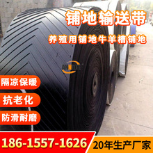 Bֳţy䁵ݔ͎ţؿϻSֱ