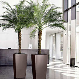 仿真植物针葵假树室内外大树大型植物盆栽花卉丝网花大堂造景装饰