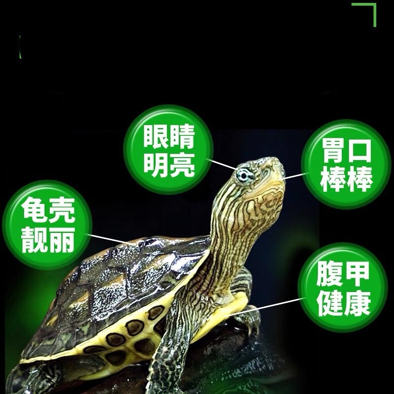 乌龟药通用护龟宝液高能护理乌龟白眼病腐皮烂甲预防乌龟白眼清|undefined