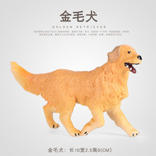 �羳�ƽ̷���Ȯ�ද�����ģ�ͽ�ë׷��Ȯ��äȮ�Ҿӳ���װ�ΰڼ�