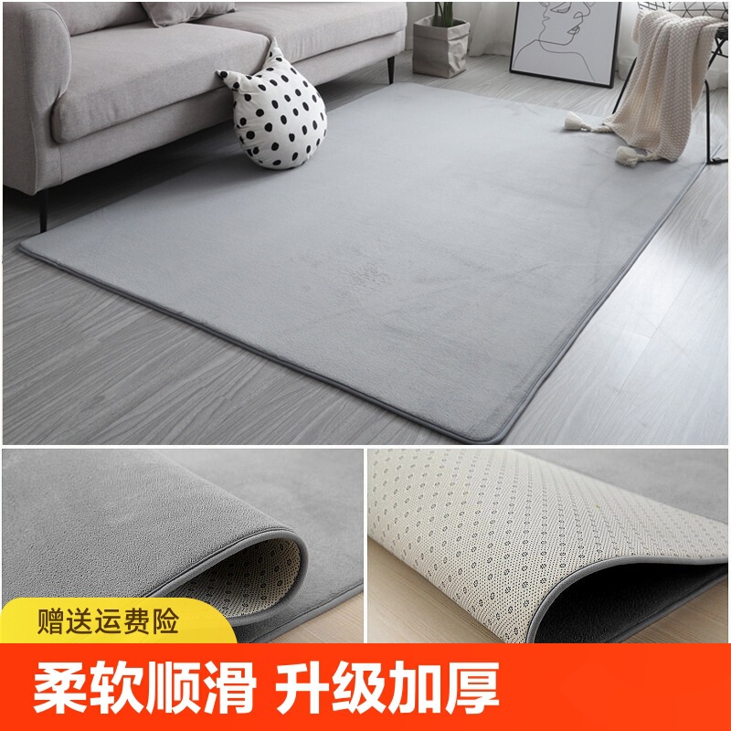 Carpet Bedroom Bedside Blanket Girl Living Room Floor Mat Thick Short Velvet Room Home Coffee Table Blanket Balcony Hotel Long Wholesale