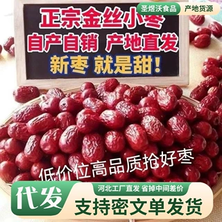 散装批发河北沧州金丝小枣农家自产小红枣500g包粽子专用红枣